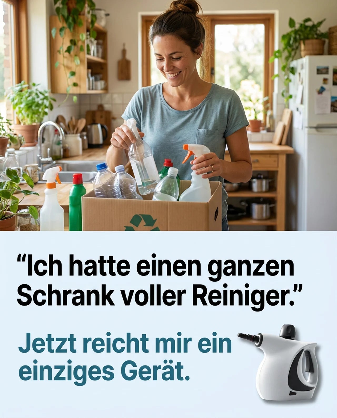 CleanDampf®️ Hochtemperatur-Dampfreiniger